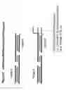 Fig. 34 - Chemically modified multifunctional short interfering nucleic acid molecules that mediate RNA interference