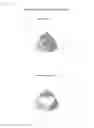 Fig. 18 - ANALYZING METHOD FOR MICRO RNA ID AND BIOMARKERS RELATED TO COLON CANCER THROUGH THIS METHOD