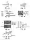 Fig. 02 - Selective reduction of the deleterious activity of extended tri-nucleotide repeat containing genes