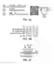 Fig. 05 - Selective reduction of the deleterious activity of extended tri-nucleotide repeat containing genes