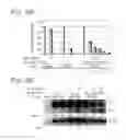 Fig. 10 - Method of regulating gene expression