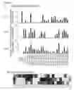 Fig. 06 - RIG-I ligands and methods for producing them