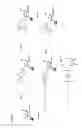 Fig. 17 - RIG-I ligands and methods for producing them