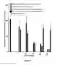 Fig. 05 - Antisense oligonucleotide compositions