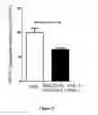 Fig. 06 - Antisense oligonucleotide compositions
