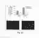 Fig. 07 - Treating cancer deficient in FANCA, FANCD2, FANCE, or FANCG with an ATM inhibitor