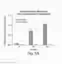 Fig. 11 - Treating cancer deficient in FANCA, FANCD2, FANCE, or FANCG with an ATM inhibitor
