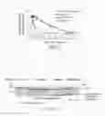 Fig. 17 - Treating cancer deficient in FANCA, FANCD2, FANCE, or FANCG with an ATM inhibitor