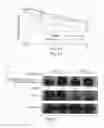 Fig. 18 - Treating cancer deficient in FANCA, FANCD2, FANCE, or FANCG with an ATM inhibitor