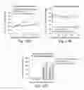 Fig. 30 - Treating cancer deficient in FANCA, FANCD2, FANCE, or FANCG with an ATM inhibitor