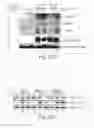 Fig. 37 - Treating cancer deficient in FANCA, FANCD2, FANCE, or FANCG with an ATM inhibitor