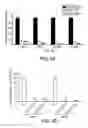 Fig. 04 - METHODS AND MATERIALS FOR TREATING CANCER