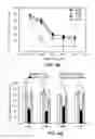 Fig. 08 - METHODS AND MATERIALS FOR TREATING CANCER