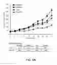 Fig. 13 - METHODS AND MATERIALS FOR TREATING CANCER