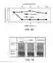 Fig. 18 - METHODS AND MATERIALS FOR TREATING CANCER