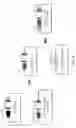 Fig. 06 - Non-toxic HSV vectors for efficient gene delivery applications and complementing cells for their production