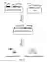 Fig. 07 - Non-toxic HSV vectors for efficient gene delivery applications and complementing cells for their production