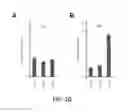 Fig. 19 - Non-toxic HSV vectors for efficient gene delivery applications and complementing cells for their production