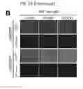 Fig. 25 - Non-toxic HSV vectors for efficient gene delivery applications and complementing cells for their production