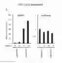Fig. 26 - Non-toxic HSV vectors for efficient gene delivery applications and complementing cells for their production