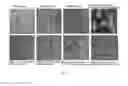 Fig. 12 - METHOD FOR CELL MEMBRANE PERMEATION FOR COMPOUND