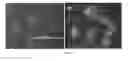 Fig. 13 - METHOD FOR CELL MEMBRANE PERMEATION FOR COMPOUND