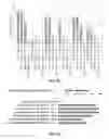 Fig. 08 - Using RNA-guided FokI Nucleases (RFNs) to increase specificity for RNA-Guided Genome Editing