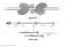 Fig. 14 - Using RNA-guided FokI Nucleases (RFNs) to increase specificity for RNA-Guided Genome Editing