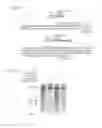Fig. 15 - Delivery and use of the CRISPR-Cas systems, vectors and compositions for hepatic targeting and therapy