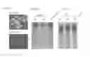 Fig. 66 - Delivery and use of the CRISPR-Cas systems, vectors and compositions for hepatic targeting and therapy