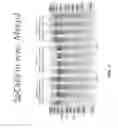 Fig. 85 - Delivery and use of the CRISPR-Cas systems, vectors and compositions for hepatic targeting and therapy