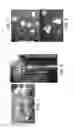 Fig. 02 - INDIVIDUALLY TRACEABLE MULTI-FUNCTIONAL CARRIER PARTICLES FOR VALIDATION OF CONTINUOUS FLOW THERMAL PROCESSING OF PARTICLE-CONTAINING FOODS AND BIOMATERIALS