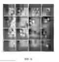 Fig. 04 - INDIVIDUALLY TRACEABLE MULTI-FUNCTIONAL CARRIER PARTICLES FOR VALIDATION OF CONTINUOUS FLOW THERMAL PROCESSING OF PARTICLE-CONTAINING FOODS AND BIOMATERIALS