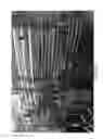 Fig. 11 - INDIVIDUALLY TRACEABLE MULTI-FUNCTIONAL CARRIER PARTICLES FOR VALIDATION OF CONTINUOUS FLOW THERMAL PROCESSING OF PARTICLE-CONTAINING FOODS AND BIOMATERIALS
