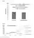 Fig. 06 - Biosensors that detect NAD