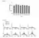 Fig. 33 - Biosensors that detect NAD