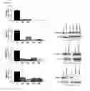 Fig. 40 - Biosensors that detect NAD