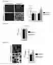 Fig. 42 - Biosensors that detect NAD