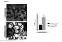 Fig. 45 - Biosensors that detect NAD