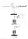 Fig. 05 - Detection of nucleic acids