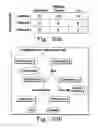 Fig. 29 - Rapid epidemiologic typing of bacteria