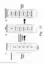 Fig. 31 - Rapid epidemiologic typing of bacteria