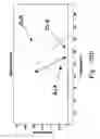 Fig. 33 - Rapid epidemiologic typing of bacteria