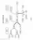 Fig. 03 - Workflow for detection of ligands using nucleic acids