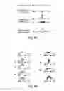 Fig. 07 - Specific nucleic acid amplification with compounded selectivity