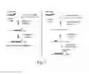 Fig. 11 - Specific nucleic acid amplification with compounded selectivity