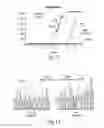 Fig. 15 - Specific nucleic acid amplification with compounded selectivity