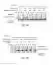 Fig. 19 - Specific nucleic acid amplification with compounded selectivity