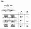 Fig. 02 - Methods to detect a silent carrier of a null allele genotype