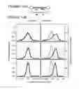 Fig. 15 - Identification of nucleic acid template-linked barcodes comprising nucleic acid modifications
